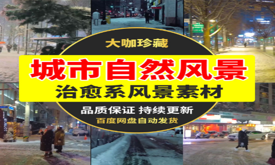 抖音走拍街景实拍下雪视频-小皮资源网