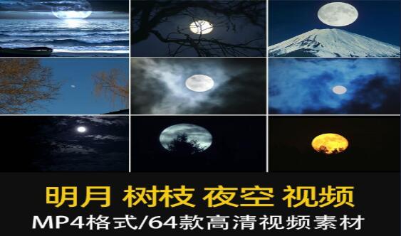 夜空乌云松树月亮树枝剪辑视频-小皮资源网