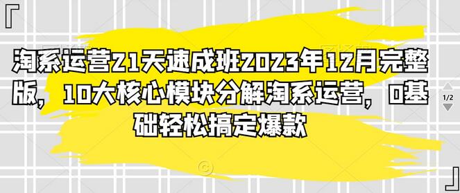 淘系运营21天速成班2023年12月完整版，10大核心模块分解淘系运营，0基础轻松搞定爆款-七哥资源网 - 全网最全创业项目资源