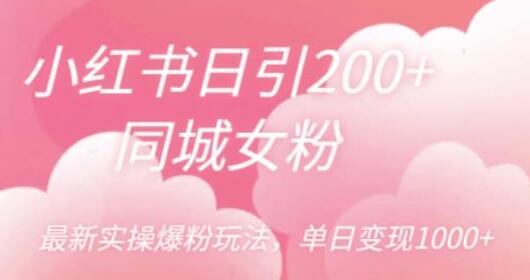 小红书日引200+同城女粉，最新实操爆粉玩法，单日变现1000+-七哥资源网 - 全网最全创业项目资源