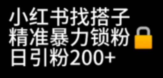 小红书找搭子暴力精准锁粉+引流日引200+精准粉-七哥资源网 - 全网最全创业项目资源