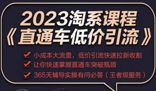 2023直通车低价引流玩法课程，小成本大流量，低价引流快速拉新收割，让你快速掌握直通车突破瓶颈-七哥资源网 - 全网最全创业项目资源