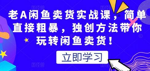 老A闲鱼卖货实战课，简单直接粗暴，独创方法带你玩转闲鱼卖货！-七哥资源网 - 全网最全创业项目资源