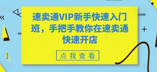 速卖通VIP新手快速入门班，手把手教你在速卖通快速开店-七哥资源网 - 全网最全创业项目资源