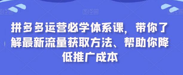 拼多多运营必学体系课，带你了解最新流量获取方法、帮助你降低推广成本-七哥资源网 - 全网最全创业项目资源