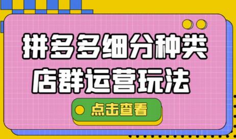 拼多多细分种类店群运营玩法3.0，11月最新玩法，小白也可以操作-七哥资源网 - 全网最全创业项目资源