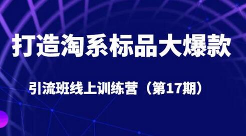 打造淘系标品大爆款引流班线上训练营（第17期）5天直播授课-七哥资源网 - 全网最全创业项目资源