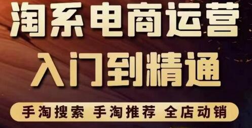 淘系电商入门到精通手淘搜索，手淘推荐，全店动销（价值1099元）-七哥资源网 - 全网最全创业项目资源