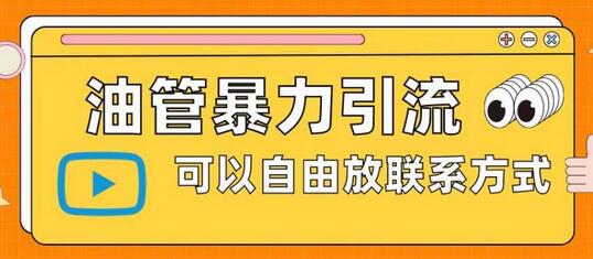 油管暴力引流，可以自由放联系方式-七哥资源网 - 全网最全创业项目资源