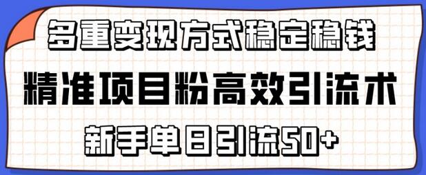 精准项目粉高效引流术，新手单日引流50+，多重变现方式稳定赚钱-七哥资源网 - 全网最全创业项目资源