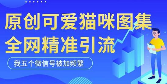 黑科技纯原创可爱猫咪图片，全网精准引流，实操5个VX号被加频繁-七哥资源网 - 全网最全创业项目资源