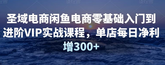 圣域电商闲鱼电商零基础入门到进阶VIP实战课程，单店每日净利增300+-七哥资源网 - 全网最全创业项目资源