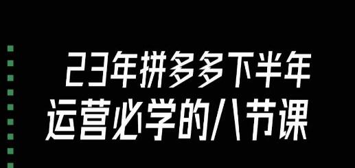 大牙·23年下半年拼多多运营必学的八节课（18节完整）-七哥资源网 - 全网最全创业项目资源