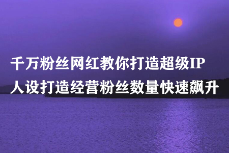 千万粉丝网红教你打造超级IP，人设打造经营粉丝数量快速飙升-七哥资源网 - 全网最全创业项目资源