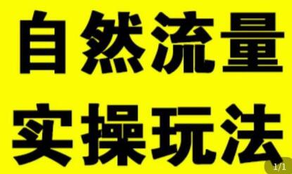 拼多多自然流量天花板，拼多多自然流的实操玩法，自然流量是怎么来的，如何开车带来自然流等知识-七哥资源网 - 全网最全创业项目资源