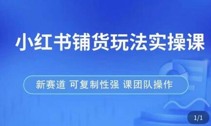 小红书铺货玩法实操课，流量大，竞争小，非常好做，新赛道，可复制性强，可团队操作-七哥资源网 - 全网最全创业项目资源