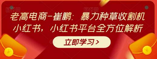 老高电商-崔鹏：暴力种草收割机小红书，小红书平台全方位解析-七哥资源网 - 全网最全创业项目资源