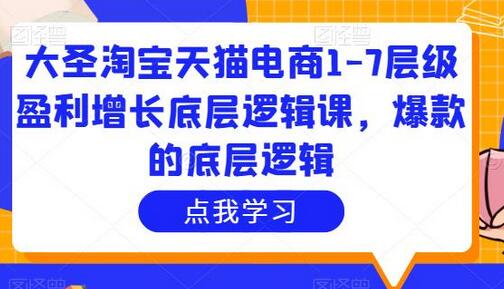 大圣淘宝天猫电商1-7层级盈利增长底层逻辑课，爆款的底层逻辑-七哥资源网 - 全网最全创业项目资源