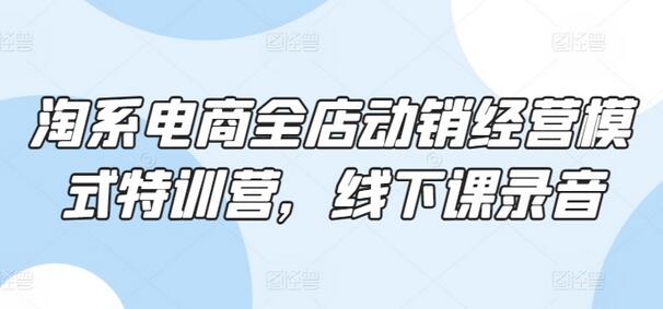 淘系电商全店动销经营模式特训营，线下课录音-七哥资源网 - 全网最全创业项目资源