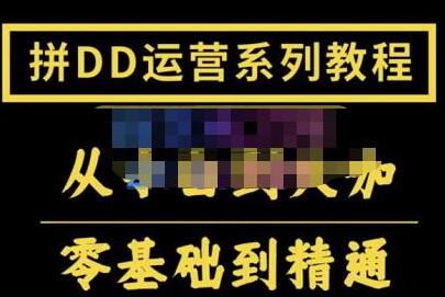 2022全套拼多多核心实操课程，从0-1轻松起链接实战，低投入高产出运作店铺-七哥资源网 - 全网最全创业项目资源