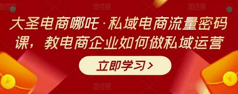 大圣电商哪吒·私域电商流量密码课，教电商企业如何做私域运营-七哥资源网 - 全网最全创业项目资源