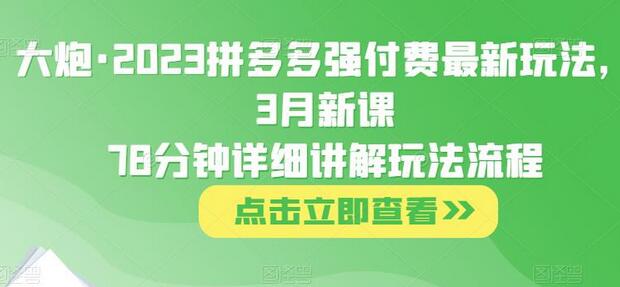 大炮·2023拼多多强付费最新玩法，3月新课​78分钟详细讲解玩法流程-七哥资源网 - 全网最全创业项目资源