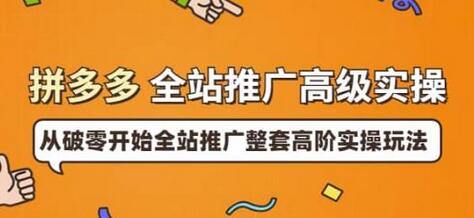 拼多多全站推广高级实操：从破零开始全站推广整套高阶实操玩法-七哥资源网 - 全网最全创业项目资源