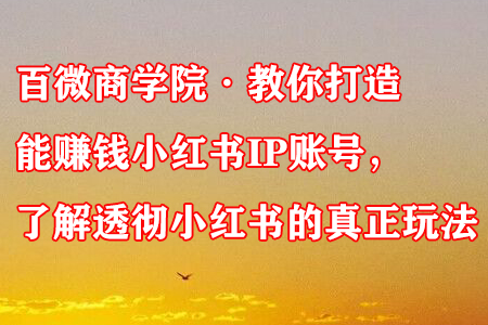 百微商学院·教你打造能赚钱小红书IP账号，了解透彻小红书的真正玩法-七哥资源网 - 全网最全创业项目资源