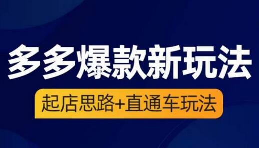 海神·多多爆款新玩法，​起店思路+直通车玩法（3节精华课）-七哥资源网 - 全网最全创业项目资源