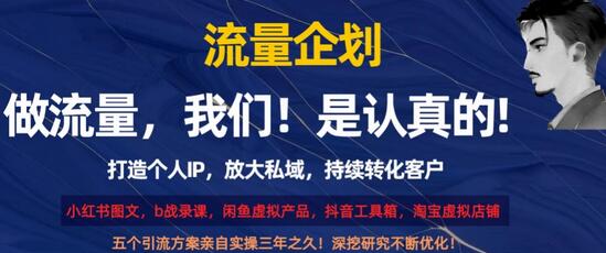 流量企划，打造个人IP，放大私域，持续转化客户-七哥资源网 - 全网最全创业项目资源