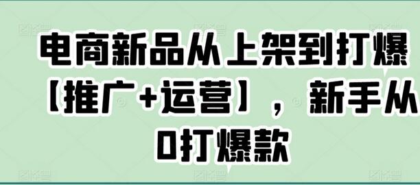 电商新品从上架到打爆【推广+运营】，新手从0打爆款-七哥资源网 - 全网最全创业项目资源