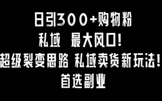 日引300+购物粉，超级裂变思路，私域卖货新玩法，小红书首选副业-七哥资源网 - 全网最全创业项目资源