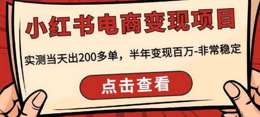 顽石·小红书电商变现项目，实测当天出200多单，半年变现百万，非常稳定-七哥资源网 - 全网最全创业项目资源