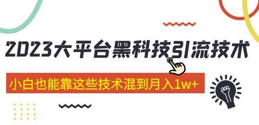 价值4899的大平台黑科技引流技术 小白也能靠这些技术混到月入1w+29节课(2022年的课程）-七哥资源网 - 全网最全创业项目资源