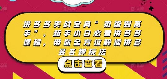 拼多多实战宝典“初级到高手”，新手小白必看拼多多课程，带你全方位解读拼多多各种玩法-七哥资源网 - 全网最全创业项目资源