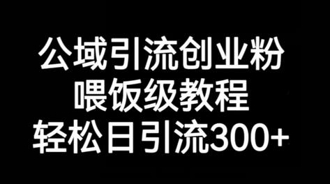 公域引流创业粉，喂饭级教程，轻松日引流300+-七哥资源网 - 全网最全创业项目资源