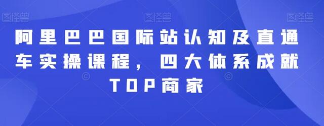 阿里巴巴国际站认知及直通车实操课程，四大体系成就TOP商家-七哥资源网 - 全网最全创业项目资源