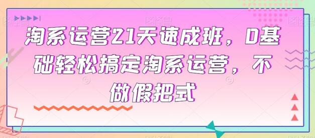 淘系运营21天速成班，0基础轻松搞定淘系运营，不做假把式-七哥资源网 - 全网最全创业项目资源