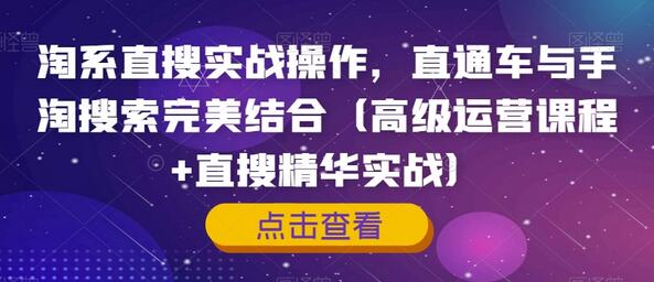 淘系直搜实战操作，直通车与手淘搜索完美结合（高级运营课程+直搜精华实战）-七哥资源网 - 全网最全创业项目资源