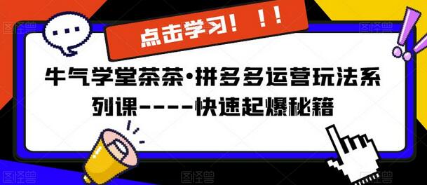 牛气学堂茶茶•拼多多运营玩法系列课—-快速起爆秘籍【更新】-七哥资源网 - 全网最全创业项目资源