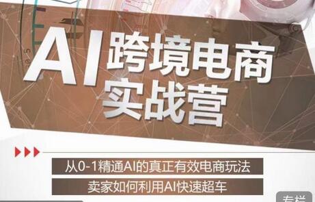 白龙老师·AI跨境电商实战营：从0-1精通Al的真正有效电商玩法，卖家如何利用Al快速超车-七哥资源网 - 全网最全创业项目资源