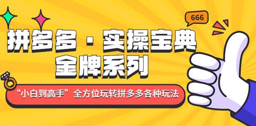 拼多多·实操宝典：金牌系列“小白到高手”带你全方位玩转拼多多各种玩法-七哥资源网 - 全网最全创业项目资源