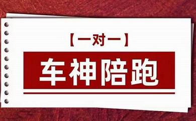 纪主任.车神陪跑，拼多多系统化课程，全新系列课+专业运营给你店铺出运营方向-七哥资源网 - 全网最全创业项目资源