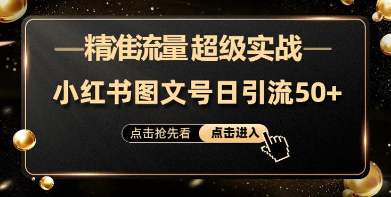 日引50+精准流量，小红书图文号，超级实战的小红书引流课，适合新手小白的项目-七哥资源网 - 全网最全创业项目资源