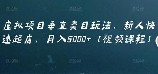 虚拟项目垂直类目玩法，新人快速起店，月入5000+【视频课程】-七哥资源网 - 全网最全创业项目资源