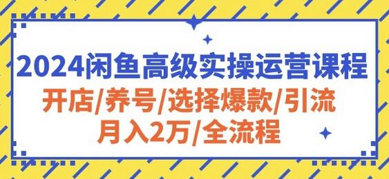 2024闲鱼高级实操运营课程：开店/养号/选择爆款/引流/月入2万/全流程-七哥资源网 - 全网最全创业项目资源