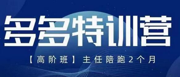 纪主任·5月最新多多特训营高阶班，玩法落地实操，多多全掌握-七哥资源网 - 全网最全创业项目资源