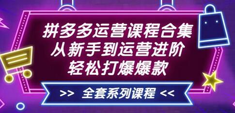 拼多多运营课程合集：从新手到运营进阶，轻松打爆爆款（全套系统课程）-七哥资源网 - 全网最全创业项目资源