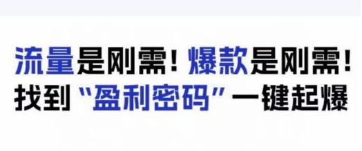 电商盈利精品课：6大盈利密码让产品更好卖，流量是刚需！爆款是刚需！找到”盈利密码”一键起爆-七哥资源网 - 全网最全创业项目资源