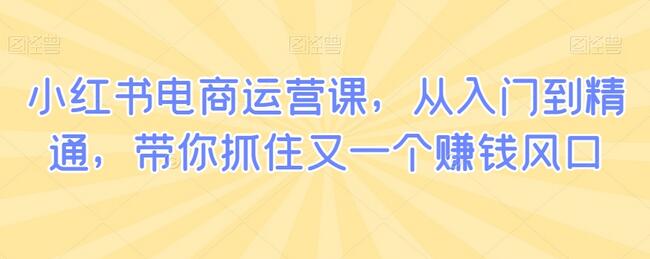 小红书电商运营课，从入门到精通，带你抓住又一个赚钱风口-七哥资源网 - 全网最全创业项目资源